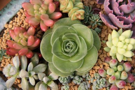 հ죺ˮϵȫͨ ˳ǡø˾